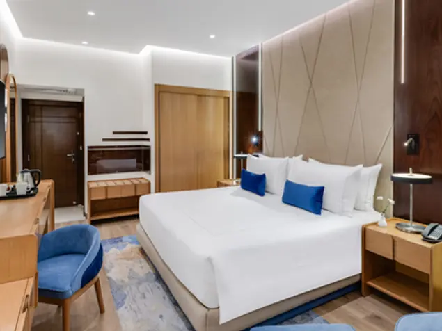 Grand Egyptian Museum Package