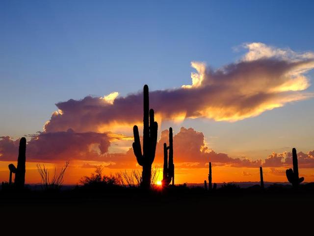 Arizona Resident Rate